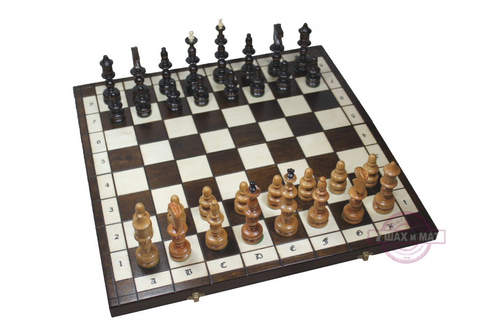 Шахматы Польские