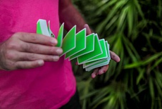 House of Playing Cards