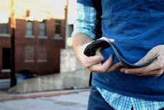 Ellusionist