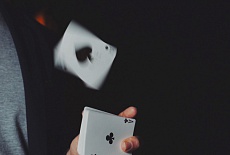 Theory 11
