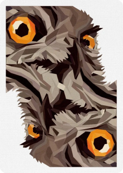 Карты The Watcher
